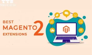 best Magento 2 Search extensions
