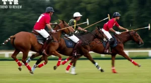 Most Expensive Sports In The World
