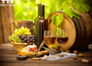 Best Wine Brands in India