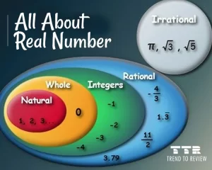All About Real Number
