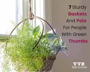 7 Sturdy Baskets and Pots for People with Green Thumbs