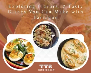 Tasty Dishes