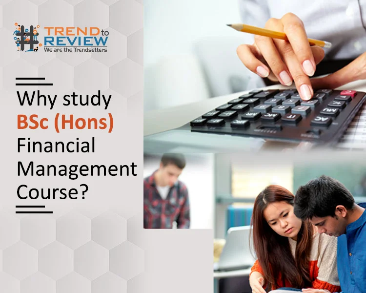 Why study BSc (Hons) financial management course