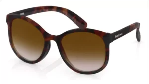 big-and-bold-in-oval-1