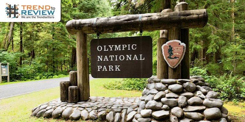Olympic national park