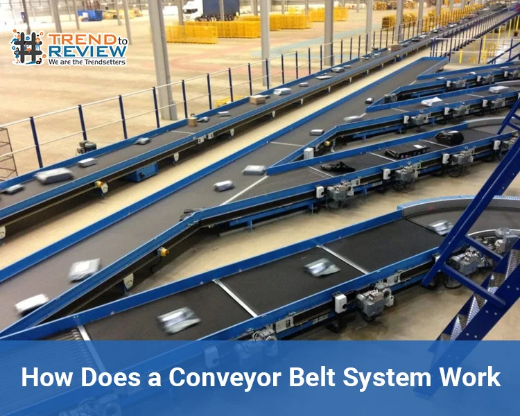 How Does a Conveyor Belt System Work