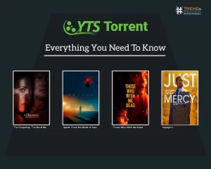 Yify Torrent: Everything You Need To Know