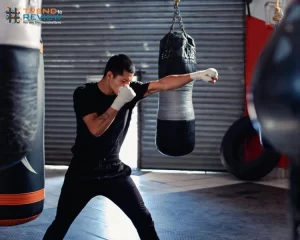 boxing-academic