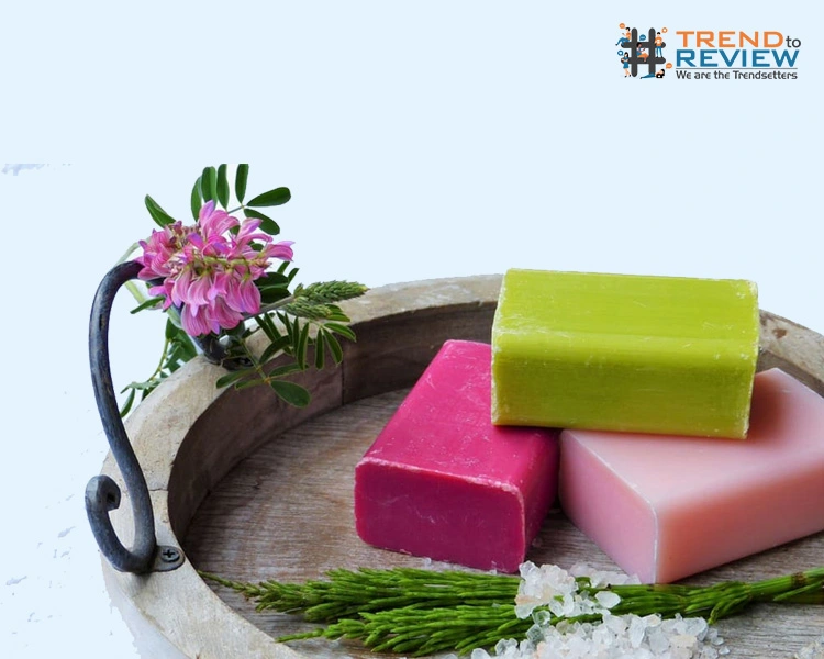 Revolutionary Suds: Unveiling the First Indigenous Soap of India