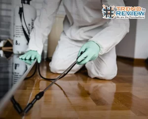 Pest Control Company