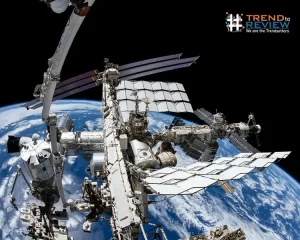 Spacebug Detected at International Space Station
