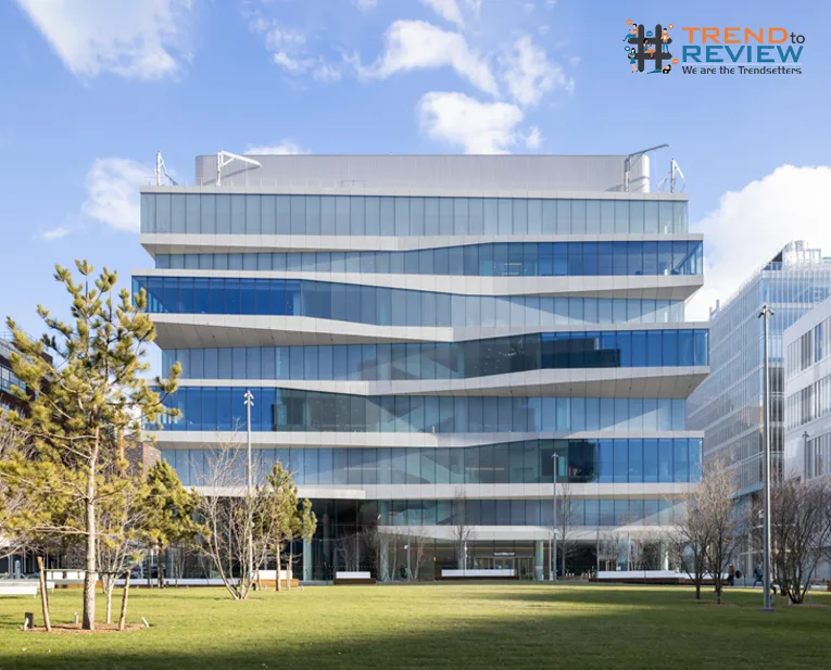 Top Insights on Best Business Schools in the World